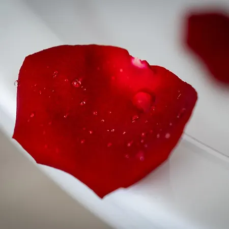 Aurora Estate Elegance *